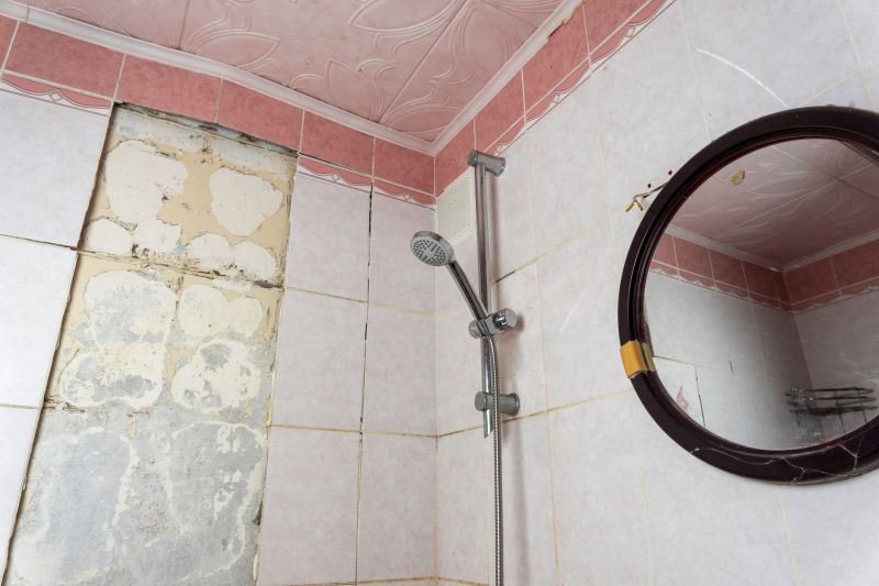 Top Shower Remodeling Companies in Arlington, WA